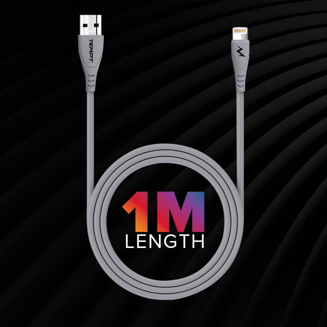 Punk USB to Lightning Cable
