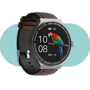 Smart watch