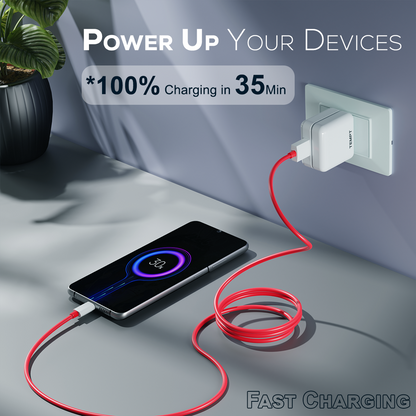 Tempt Turbo 65 Fast Charging USB-C Adapter 35 Minute Charging Phone Charger